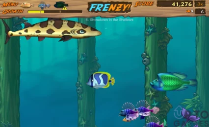 تحميل لعبة السمكة 2 Feeding Frenzy الاصلية مجانًا